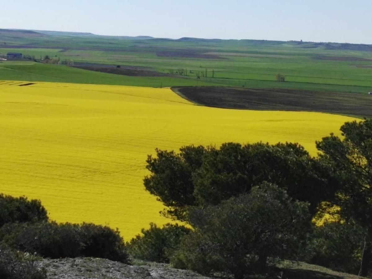 Mota del MarquésLa Aldea Colorada公寓 外观 照片