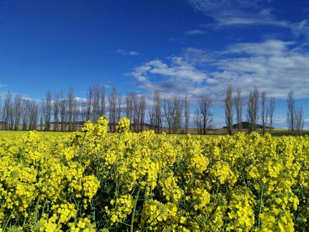 Mota del MarquésLa Aldea Colorada公寓 外观 照片