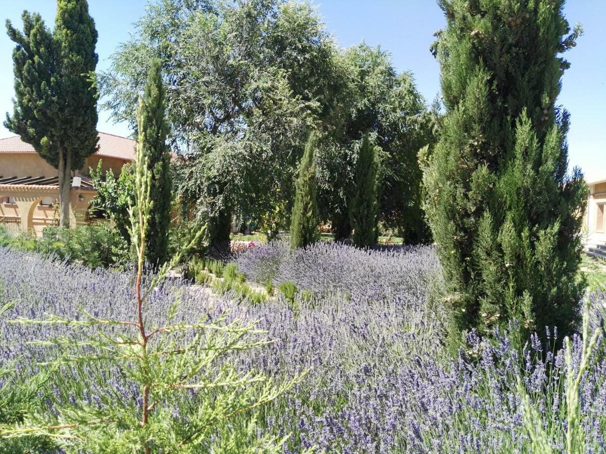 Mota del MarquésLa Aldea Colorada公寓 外观 照片